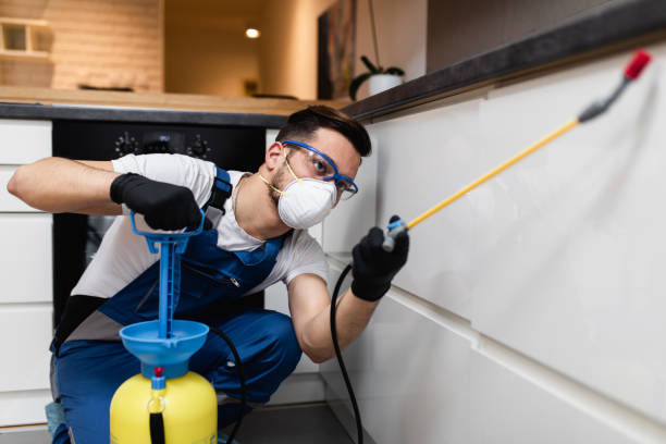 Trusted Edwards, CO Pest Control Experts