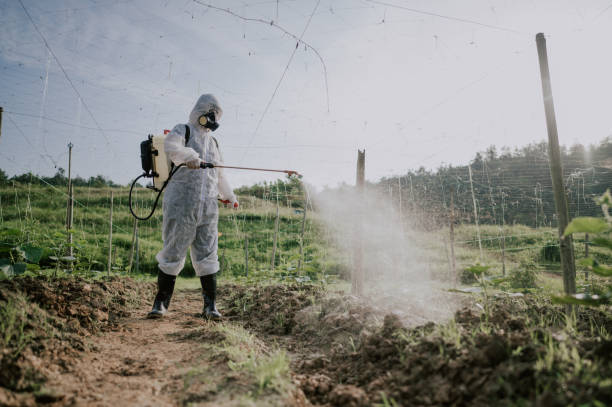 Best Pest Control for Businesses  in Edwards, CO