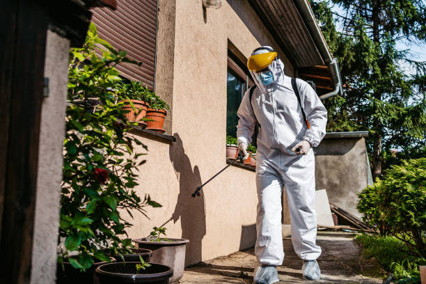 Best Affordable Pest Control Services  in Edwards, CO