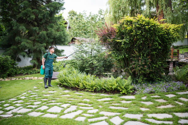 Best Wildlife Control Services  in Edwards, CO